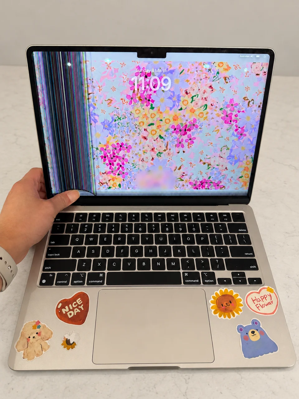 MacBook before repair with vertical fault lines on the left and horizontal lines at the bottom; account details obscured